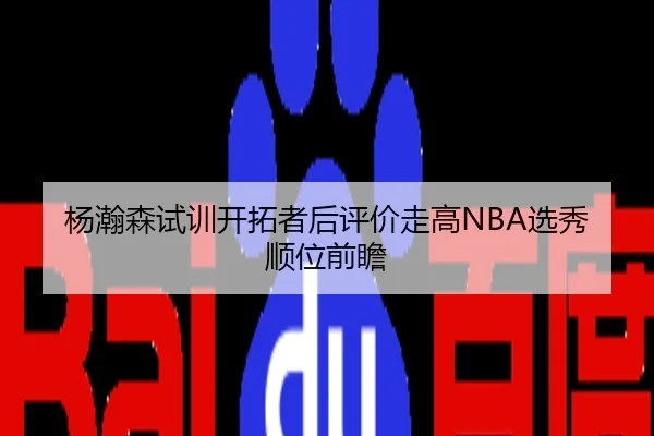 杨瀚森试训开拓者后评价走高NBA选秀顺位前瞻